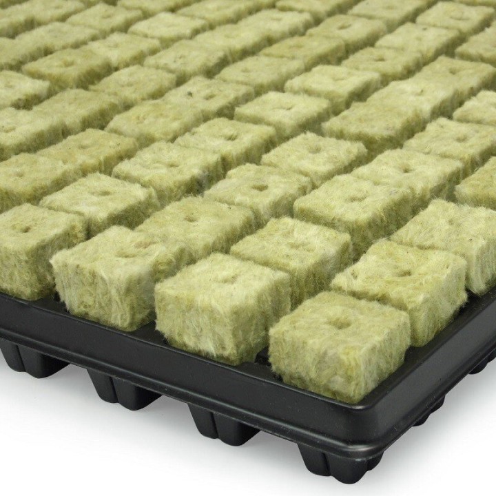 Grodan Plaque Boutures 77 substrat phase production | Boutures / Germination