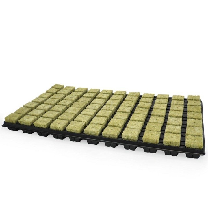 Grodan Plaque Boutures 77 cubes rétention eau uniforme | Boutures / Germination