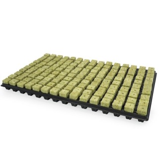 Grodan Plaque Boutures 150 cubes rétention eau uniformité | Boutures / Germination