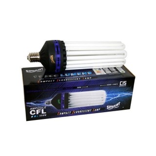 Superplant 250W CFL croissance floraison économie énergie | Ampoule Eco