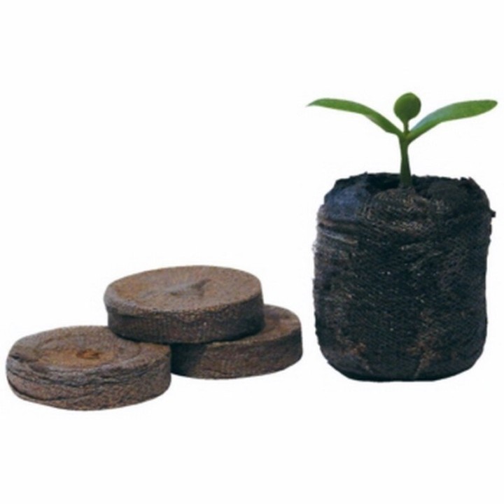 Pastille de Coco Jiffy 7/35mm x 20  1 - Boutures / Germination
