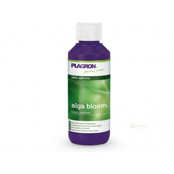 Plagron Alga Bloom 0.1l floraison algues format découverte | Plagron
